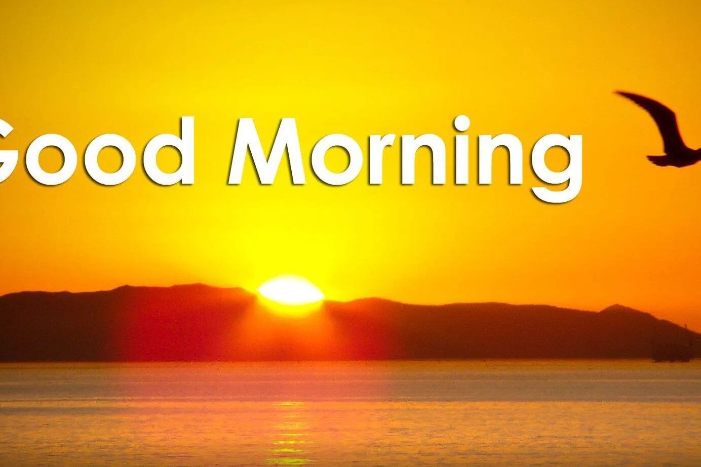 Annotation 2019-12-23 145609